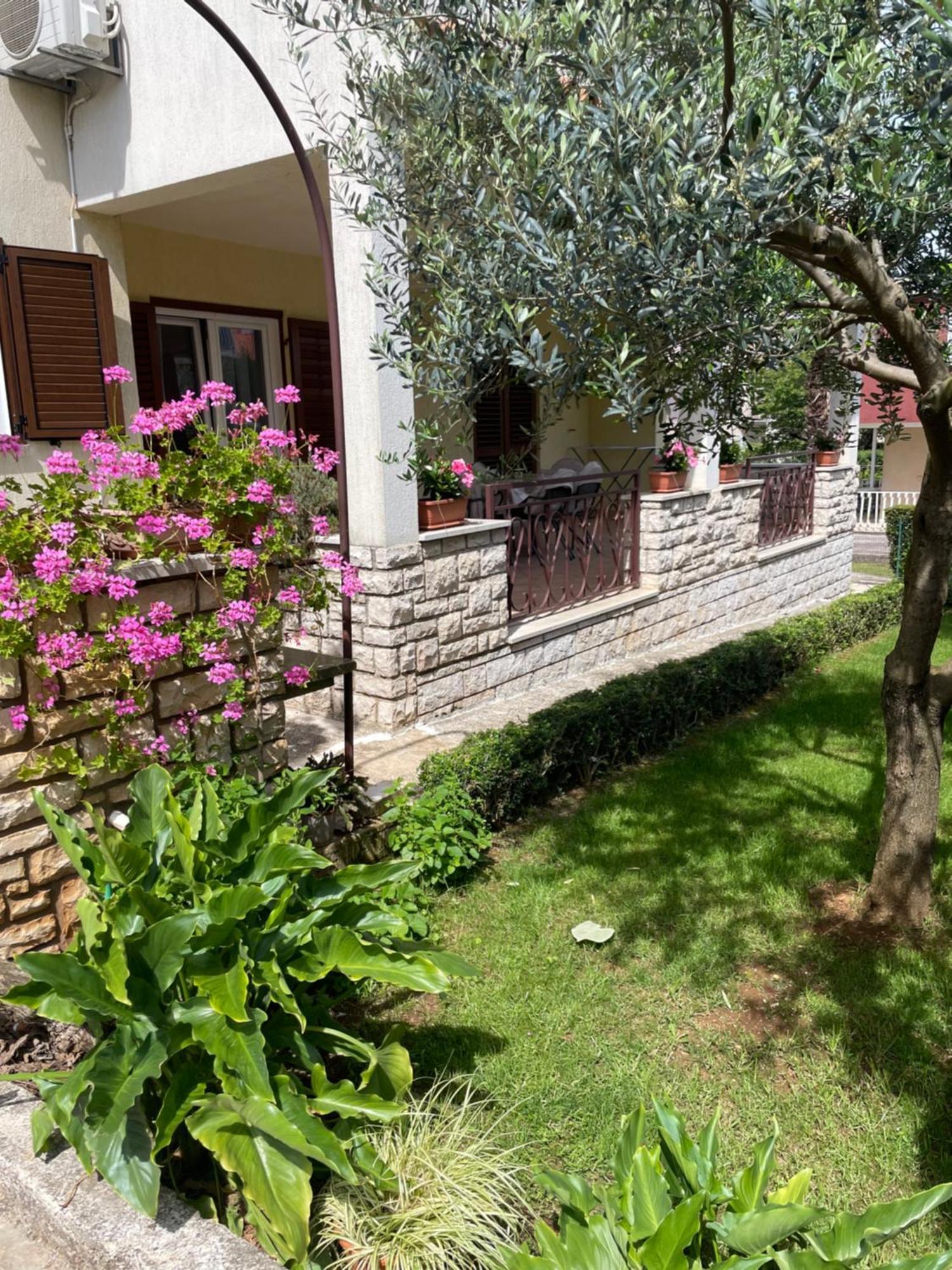 Apartmani Darko Rovinj Dış mekan fotoğraf