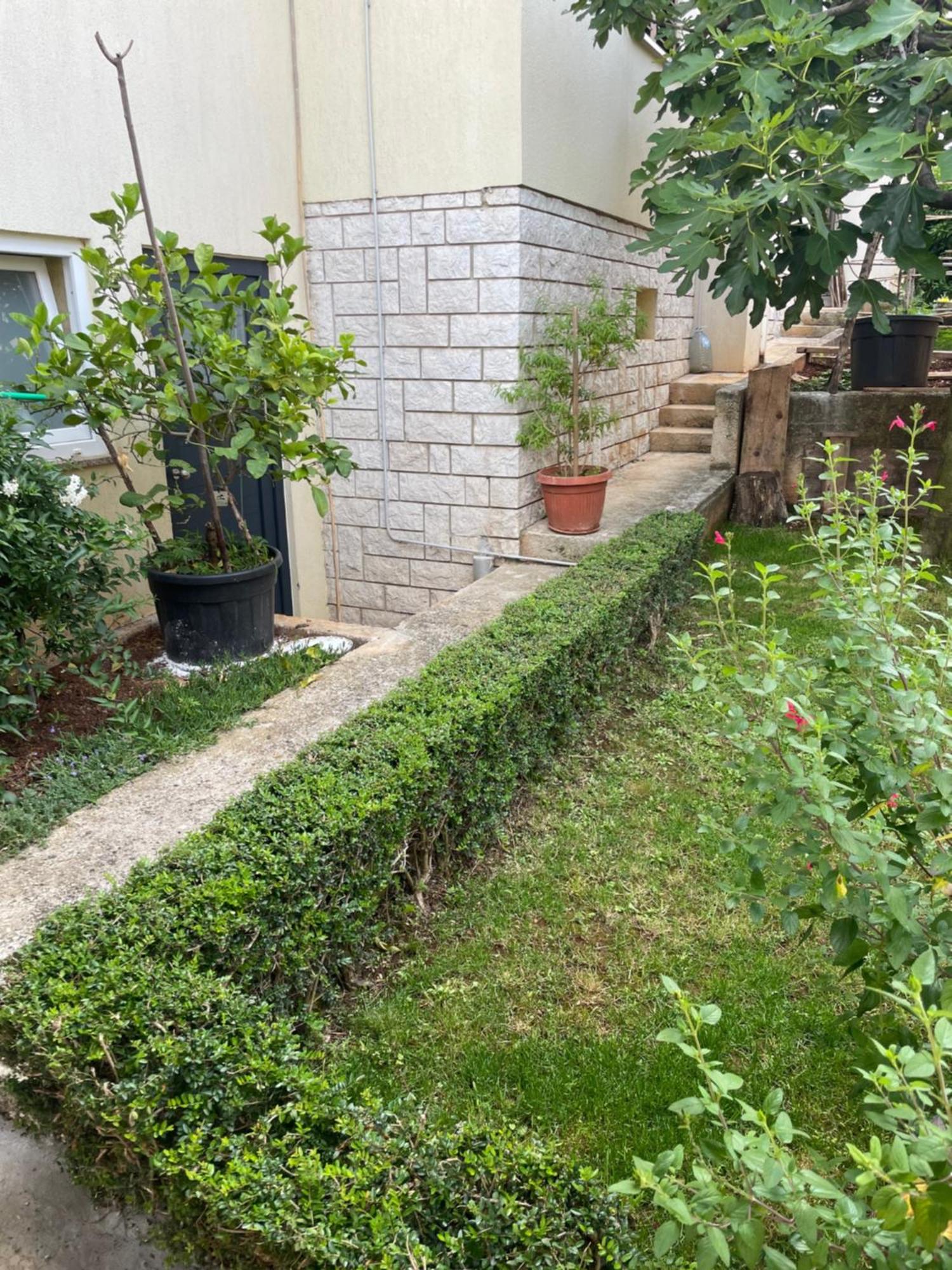 Apartmani Darko Rovinj Dış mekan fotoğraf