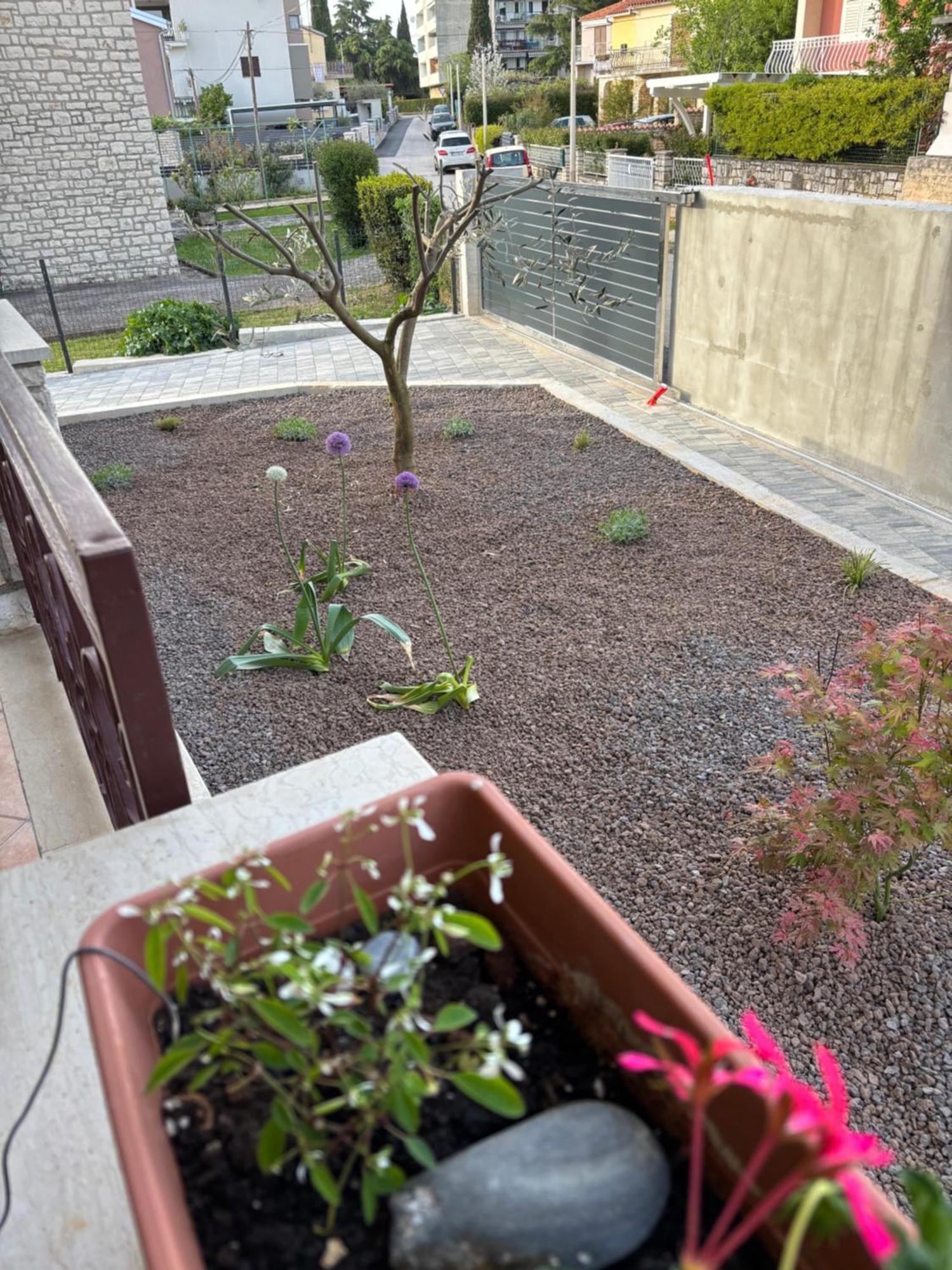 Apartmani Darko Rovinj Dış mekan fotoğraf